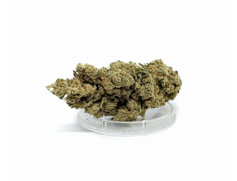 Sativa Poland Susz CBD Super Silver Haze - 2